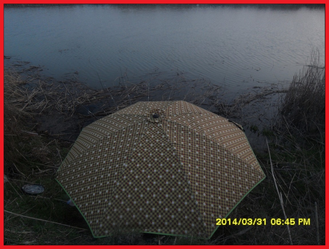 SDC14061.jpg