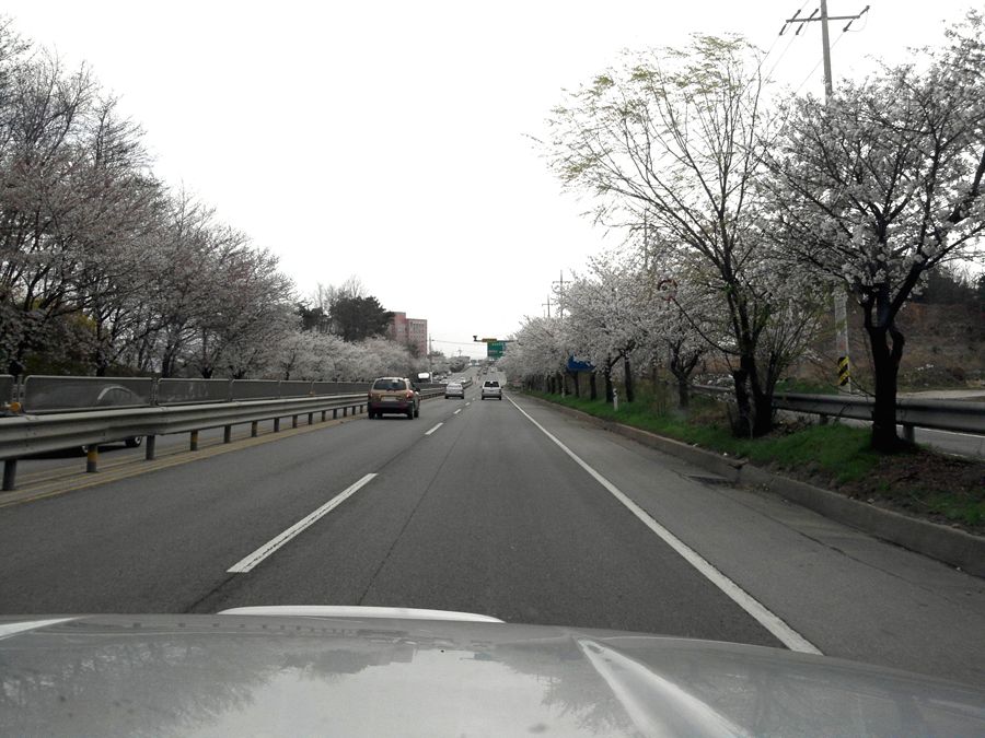 2014-04-05 15.55.22.jpg