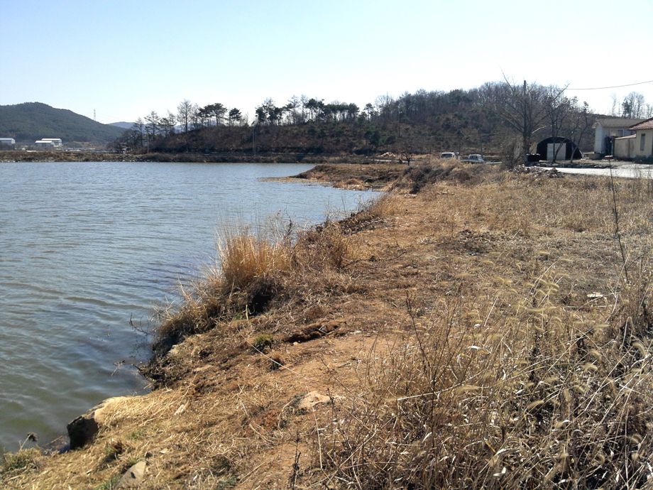 2014-03-02 12.45.22.jpg