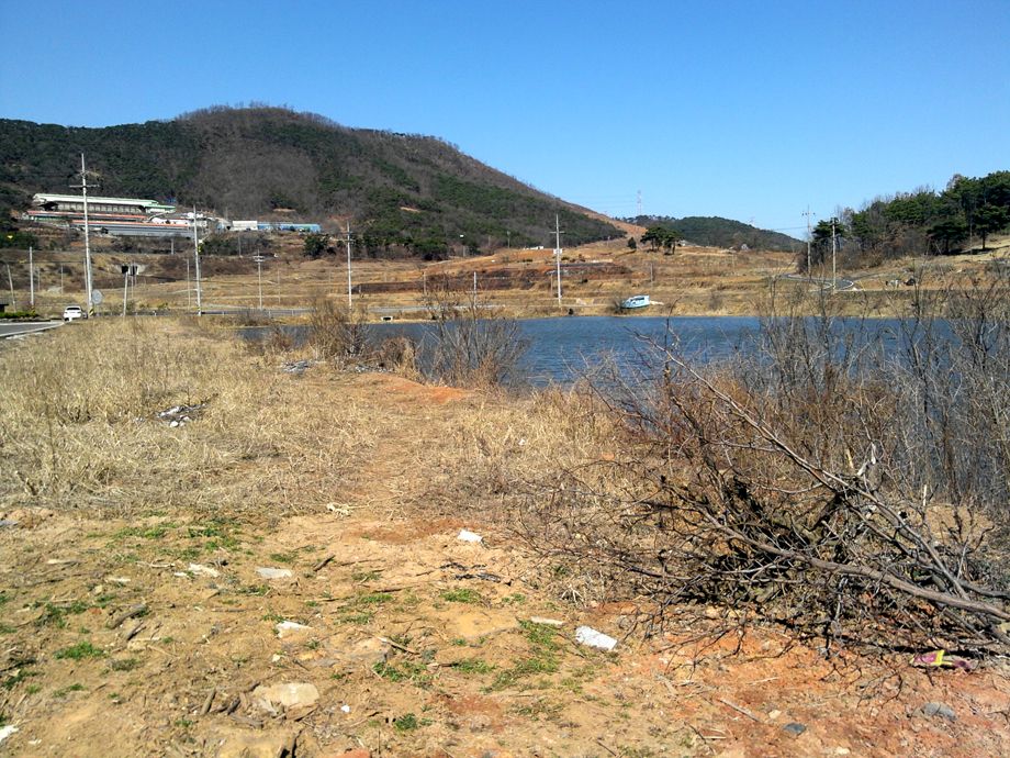 2014-03-02 12.45.35.jpg