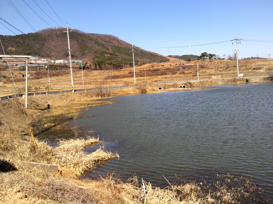 2014-03-02 12.47.34.jpg
