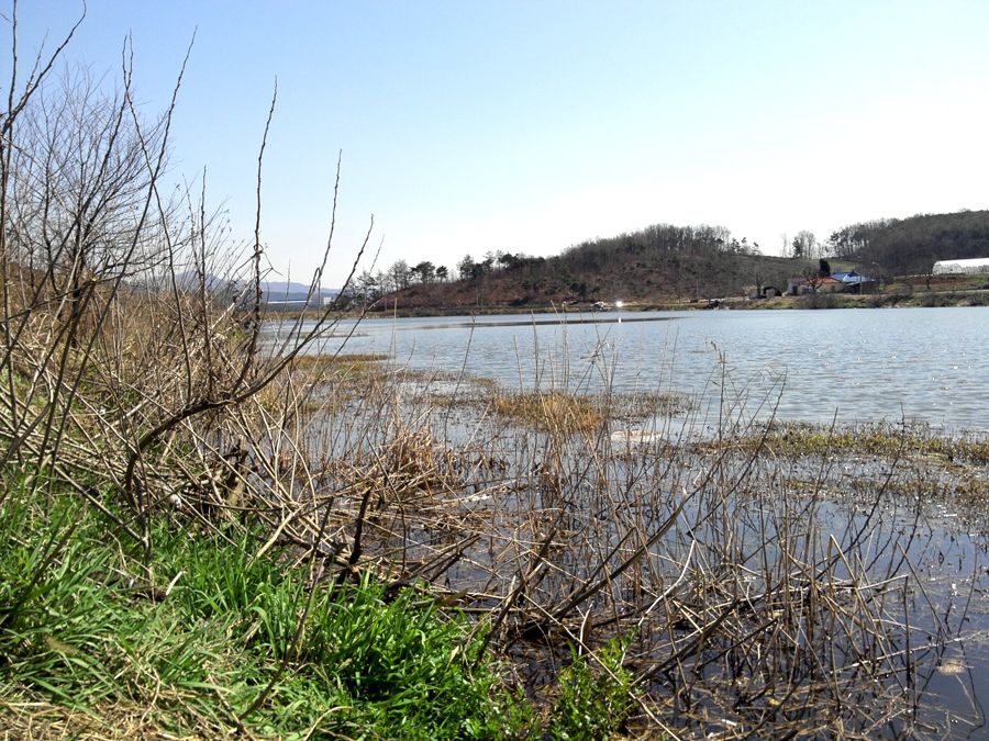 2014-04-06 14.14.09.jpg