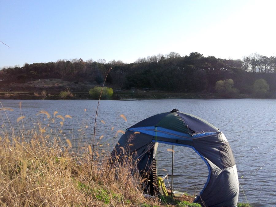 2014-04-06 07.24.59.jpg