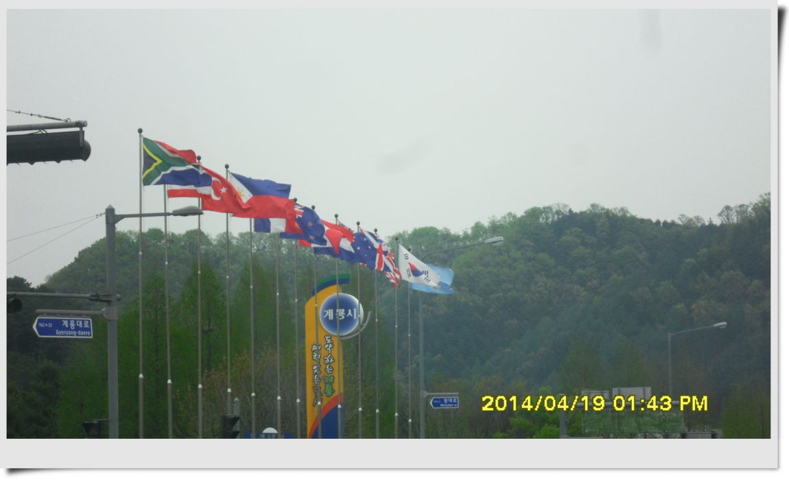 SDC14363.jpg