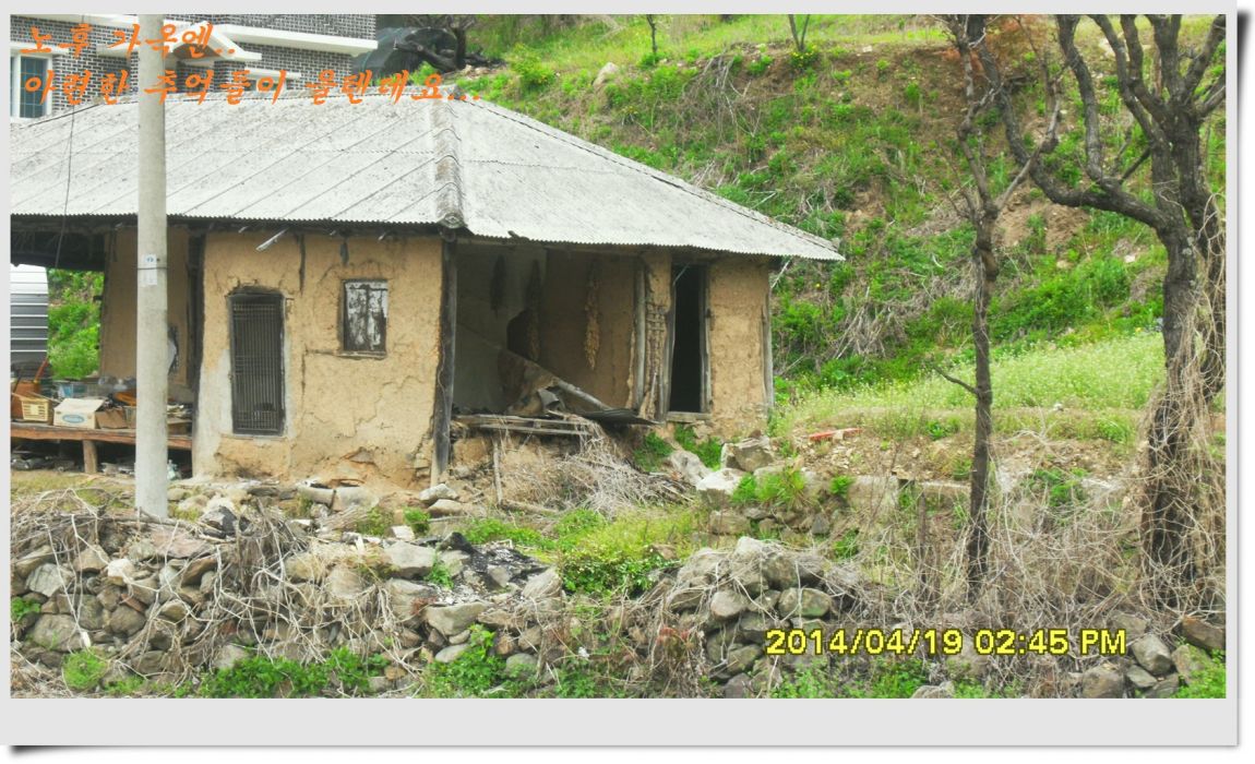 SDC14368.jpg