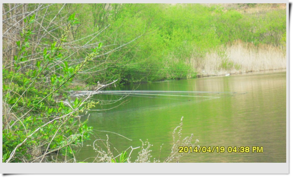 SDC14380.jpg