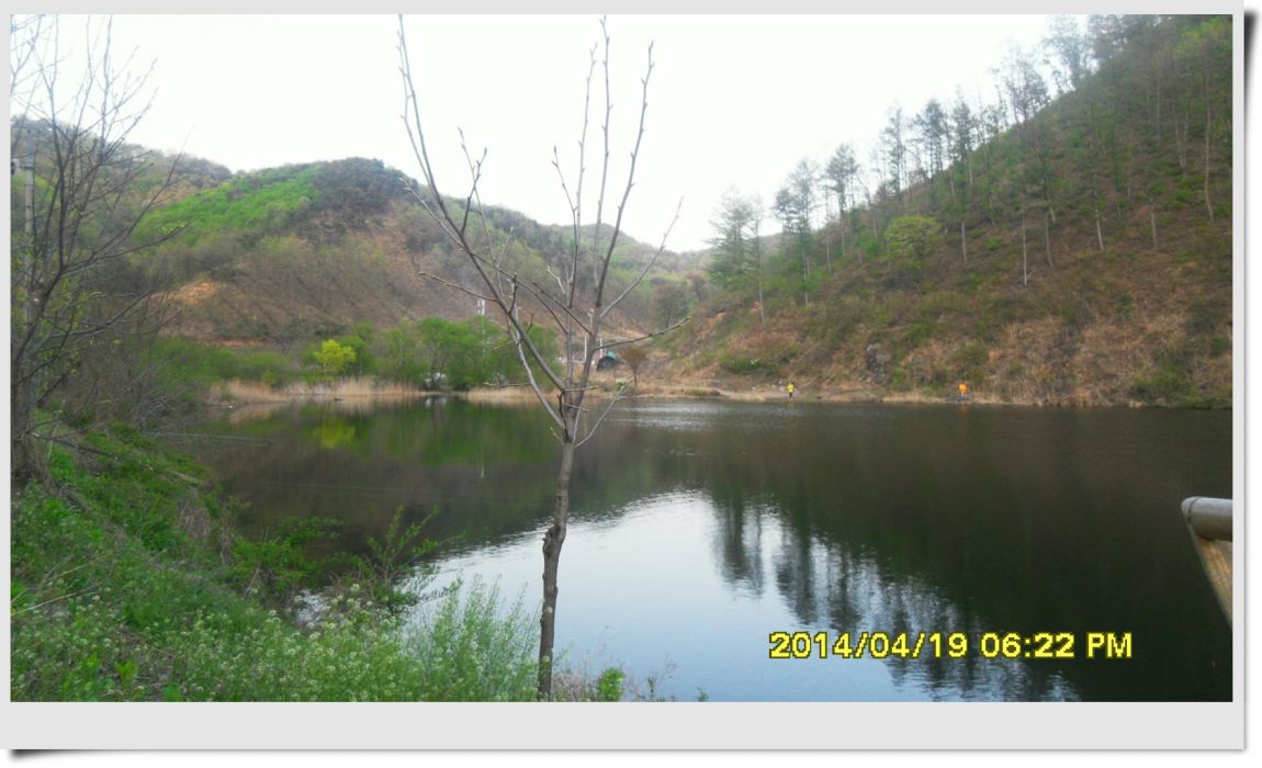 SDC14388.jpg
