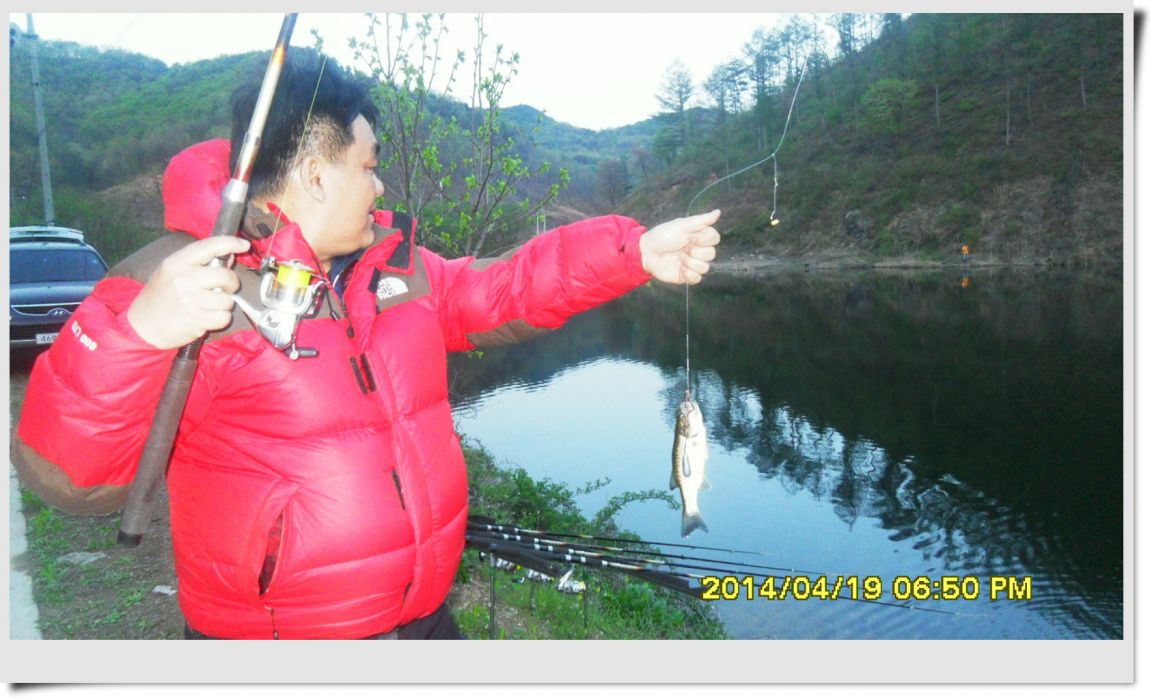 SDC14390.jpg