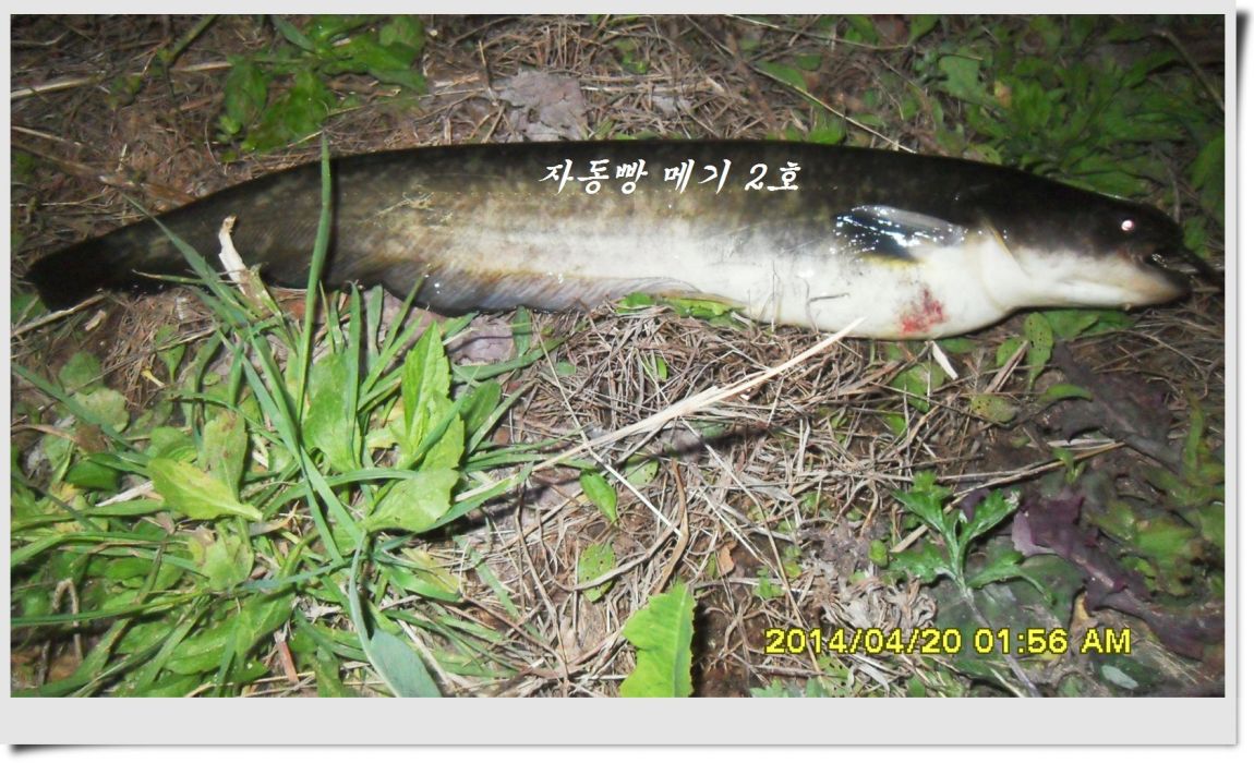 SDC14397.jpg