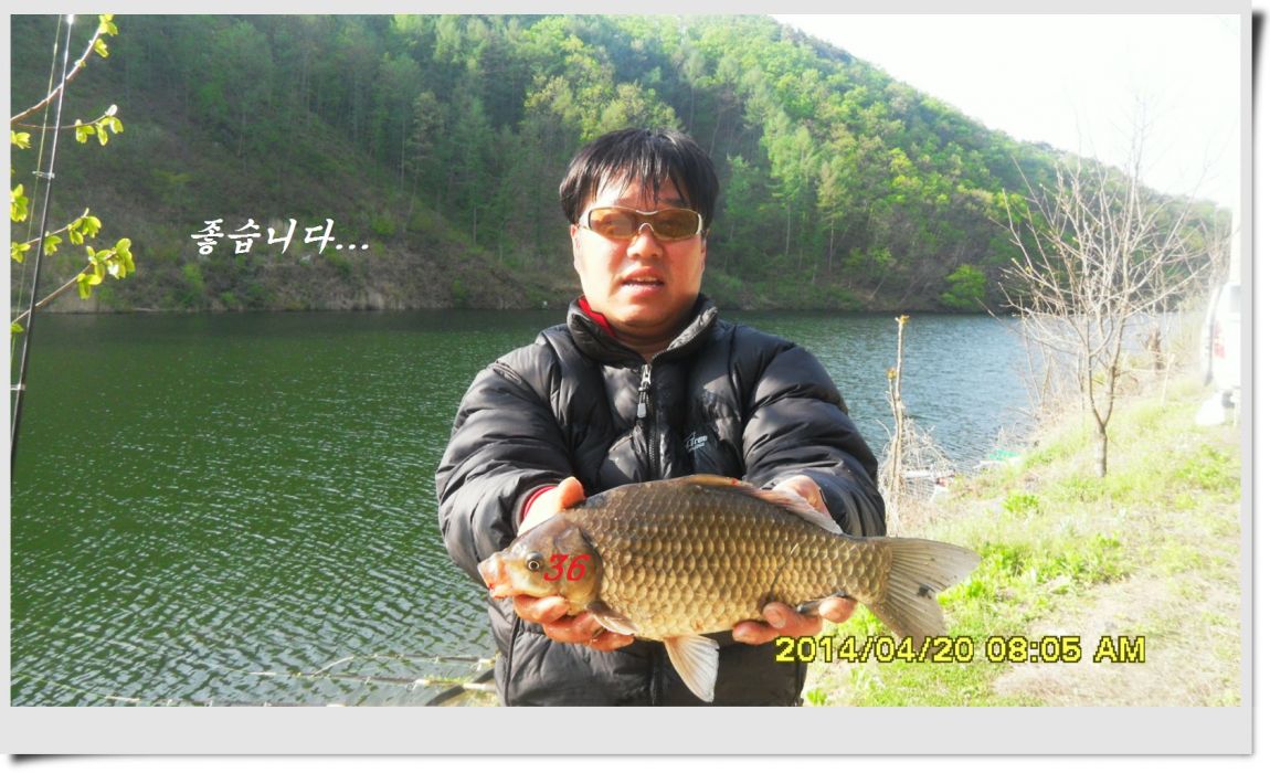 SDC14398.jpg