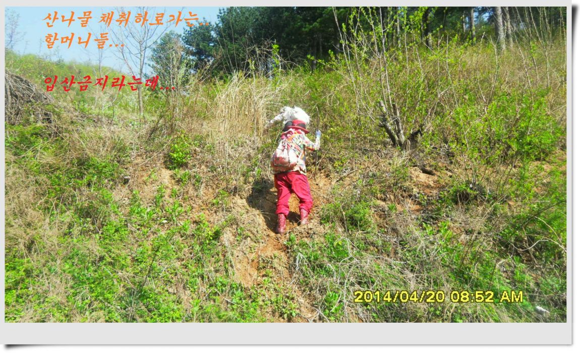 SDC14400.jpg