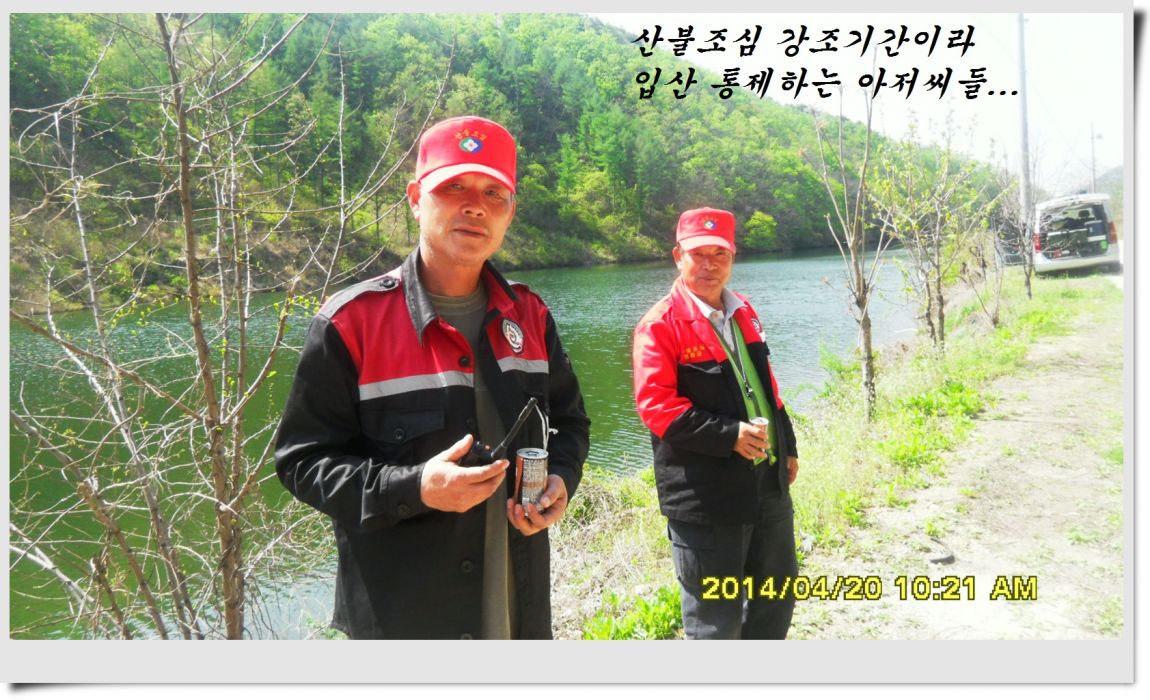 SDC14401.jpg