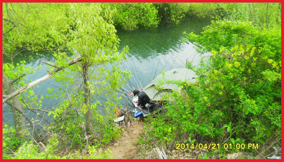 SDC14413.jpg