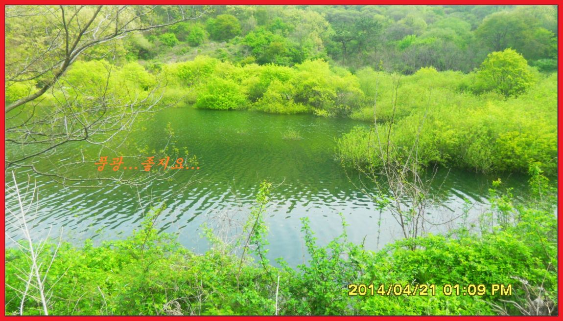 SDC14414.jpg