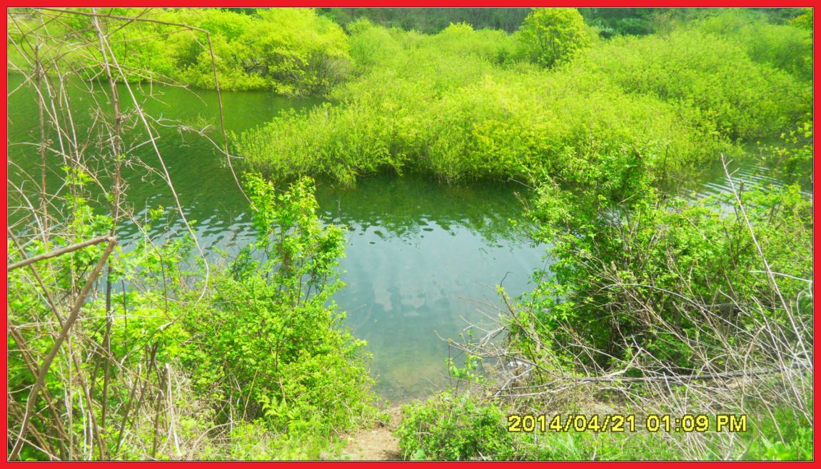 SDC14415.jpg