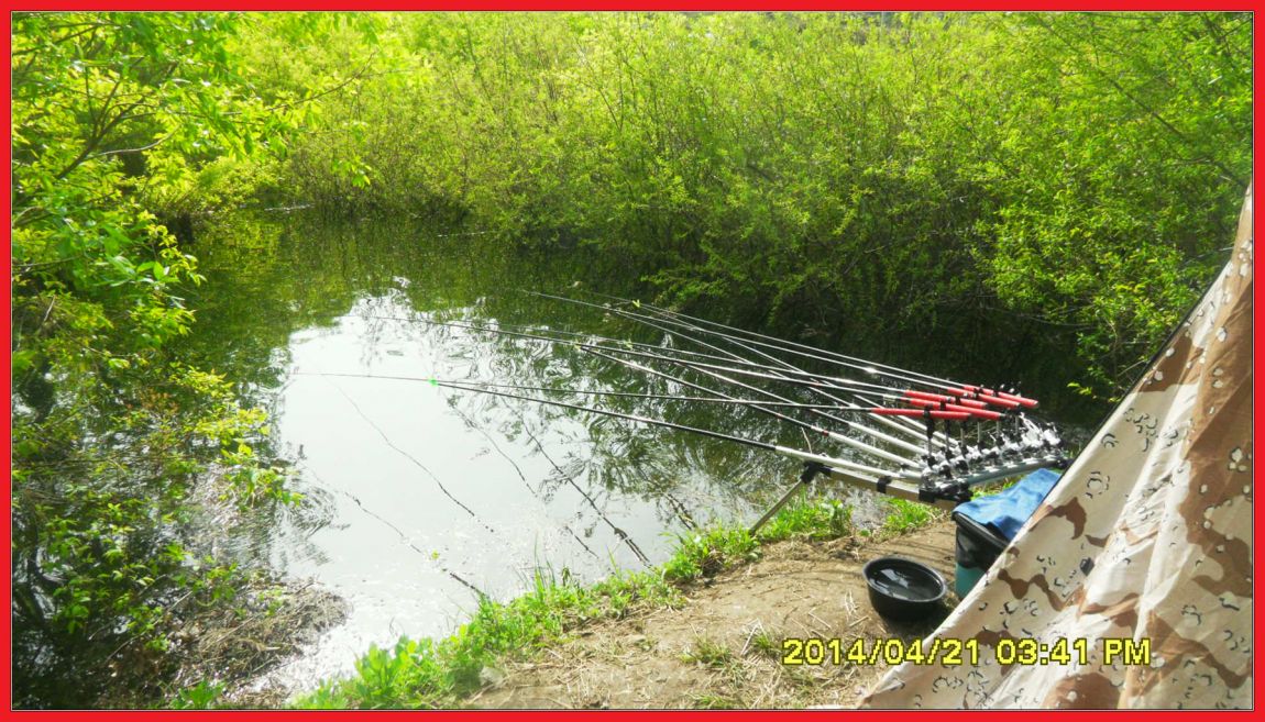 SDC14419.jpg