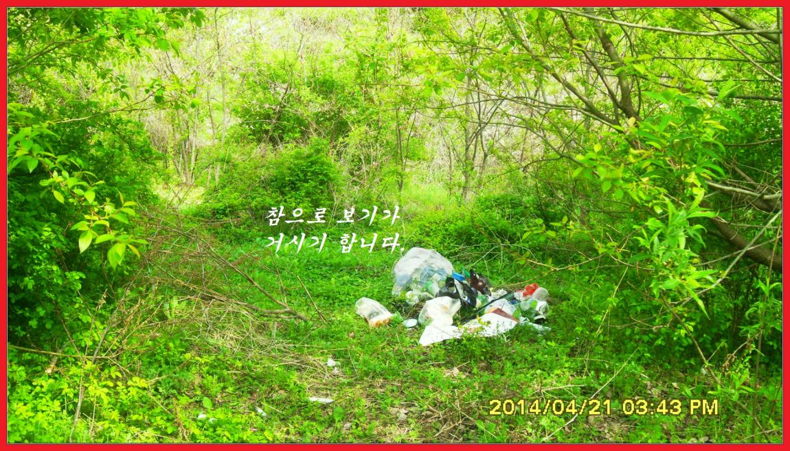 SDC14424.jpg