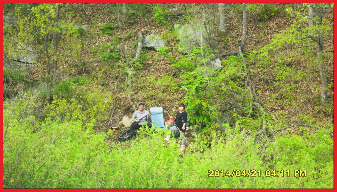 SDC14430.jpg