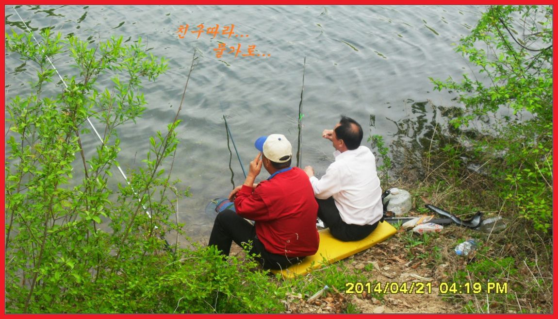 SDC14433.jpg