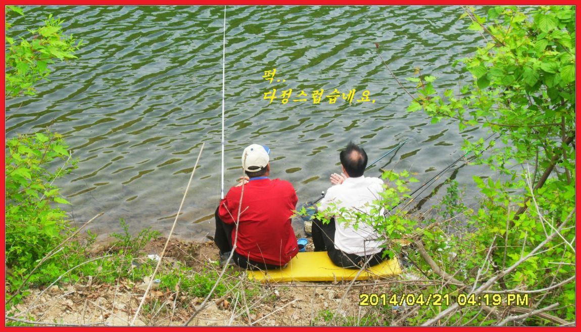 SDC14434.jpg