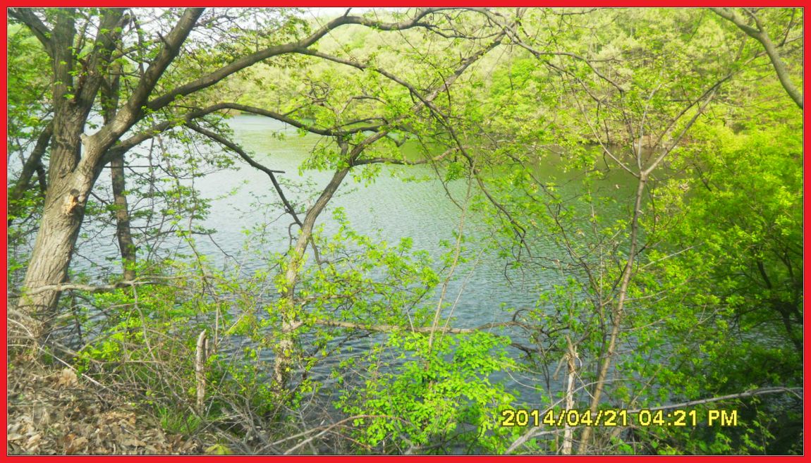 SDC14435.jpg