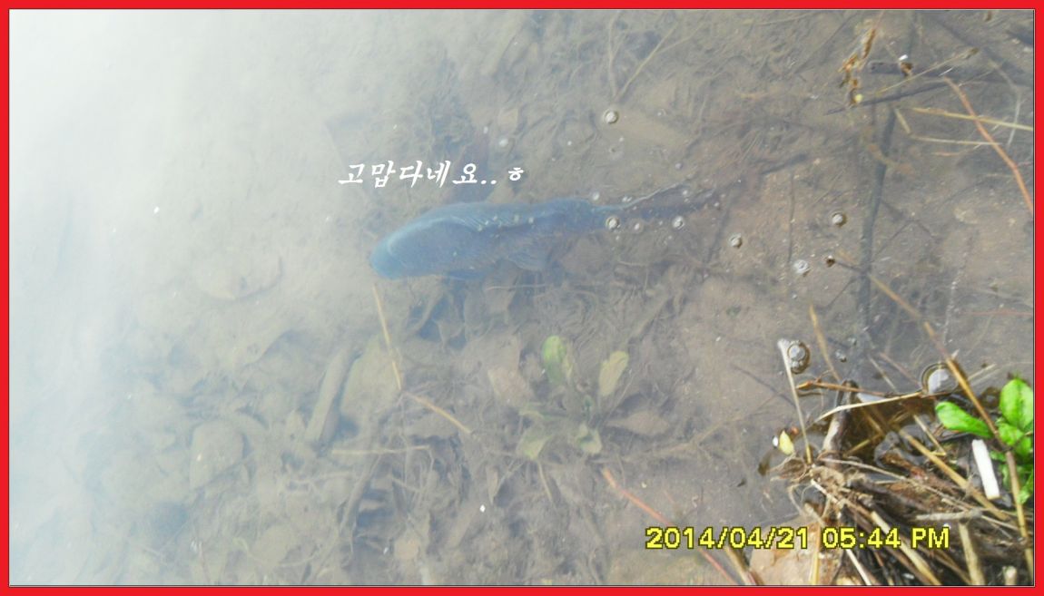 SDC14450.jpg