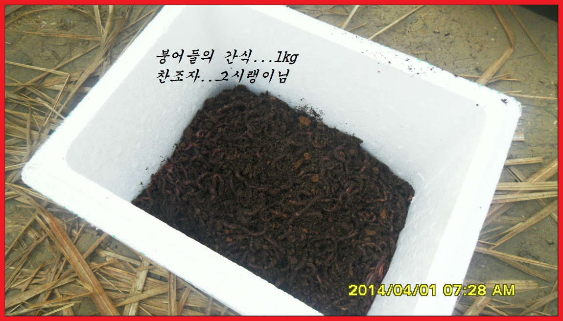 SDC14073.jpg