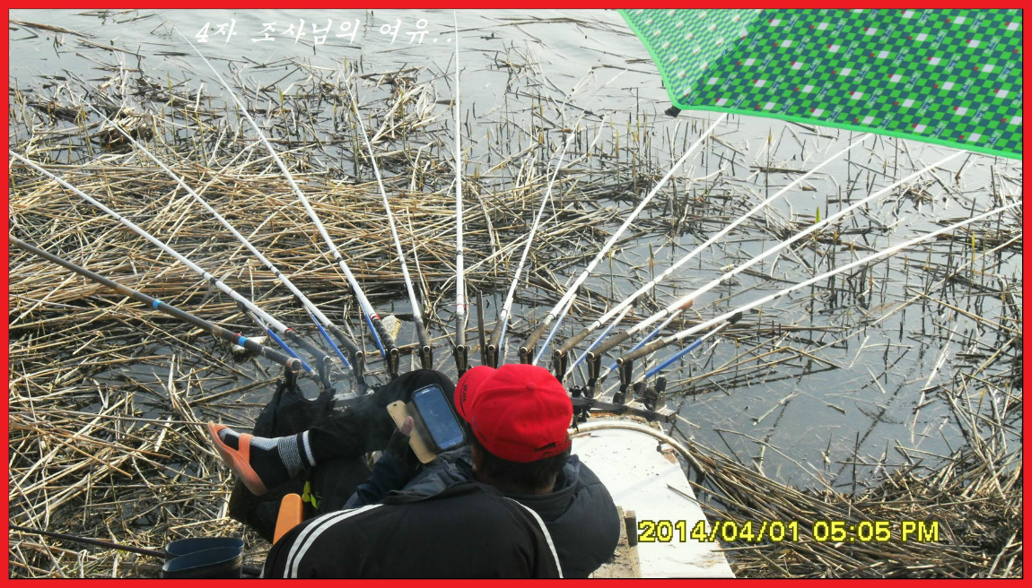 SDC14086.jpg