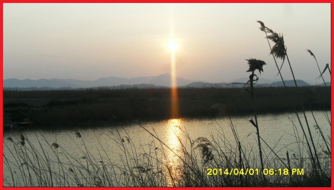 SDC14089.jpg