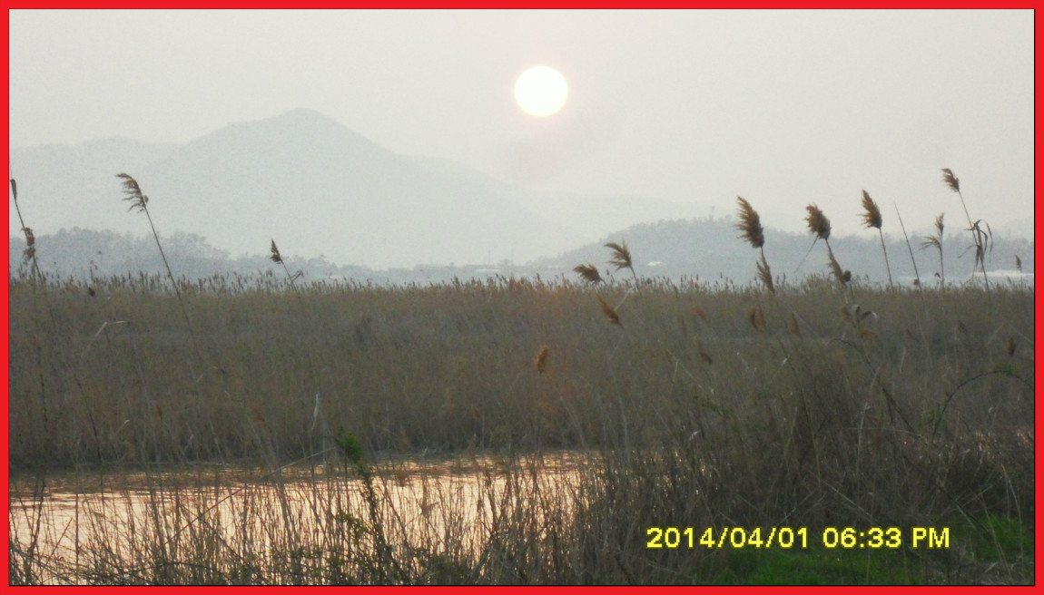 SDC14090.jpg