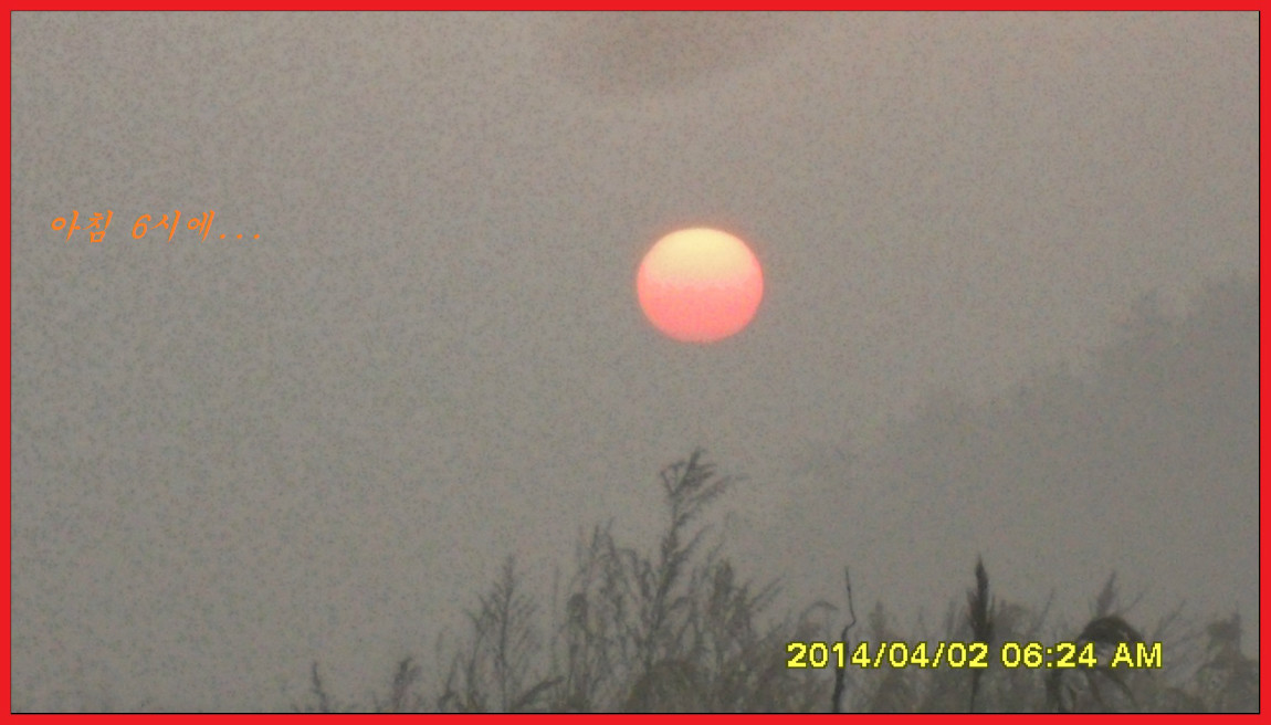 SDC14098.jpg