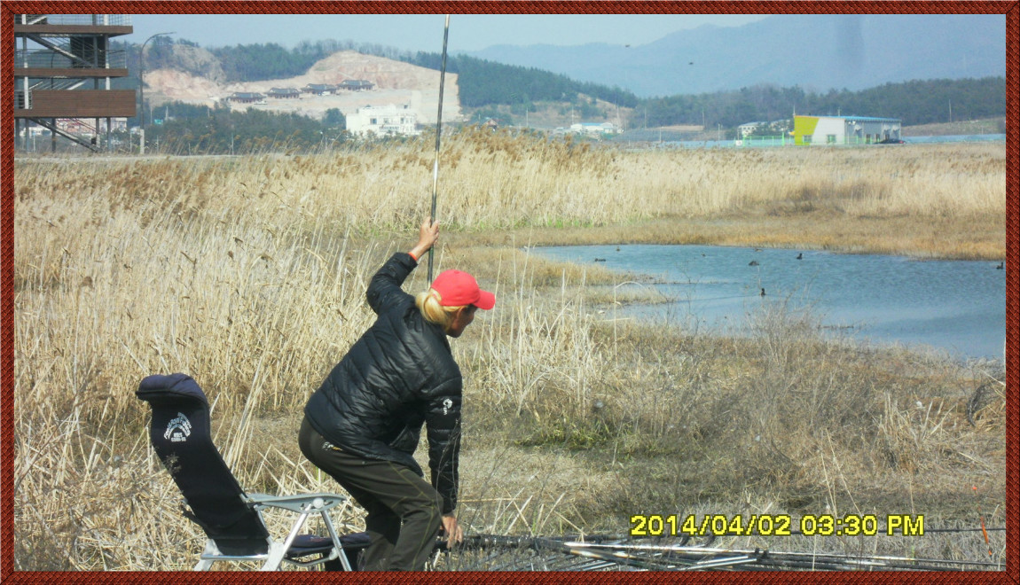 SDC14109.jpg