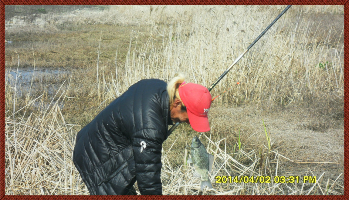 SDC14110.jpg