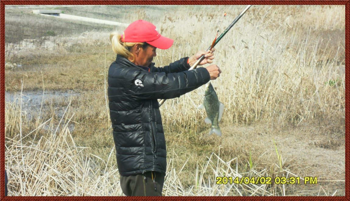 SDC14111.jpg