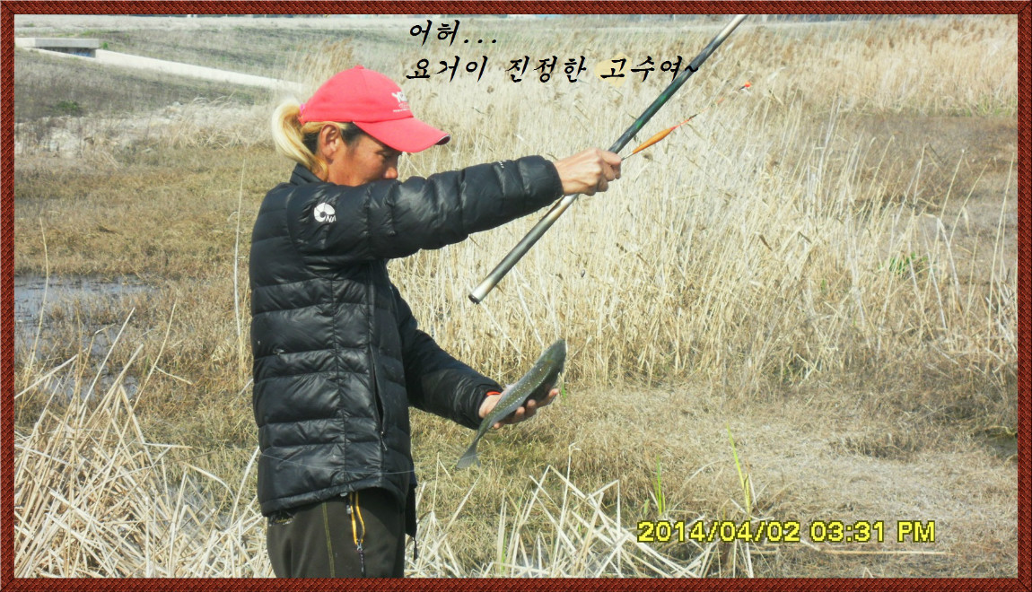 SDC14112.jpg