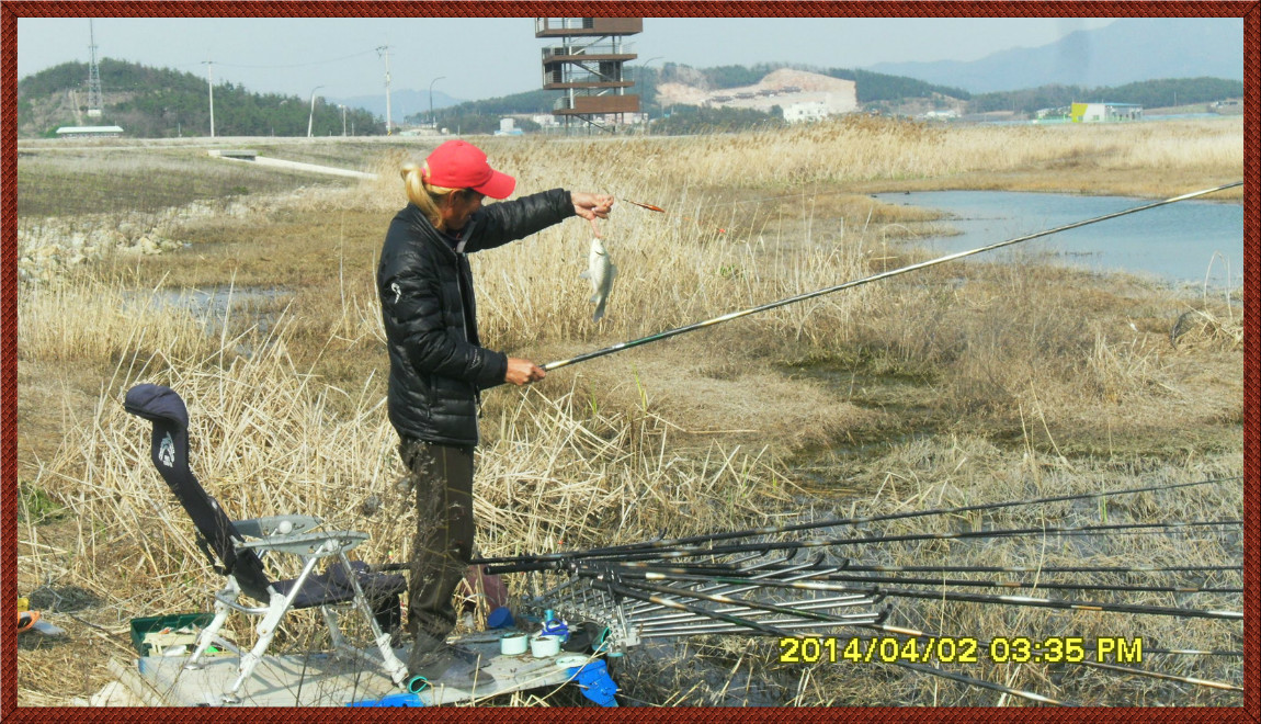 SDC14114.jpg