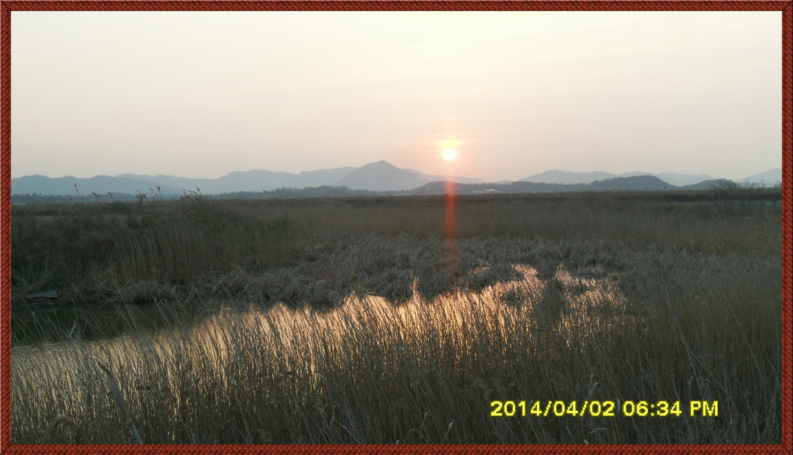 SDC14116.jpg