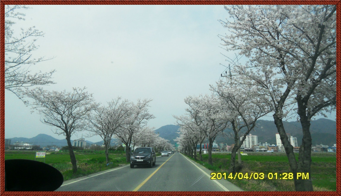 SDC14117.jpg