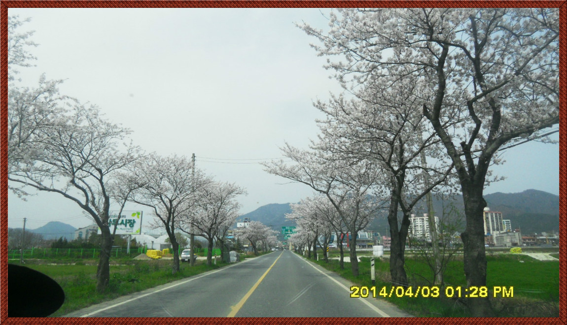 SDC14118.jpg