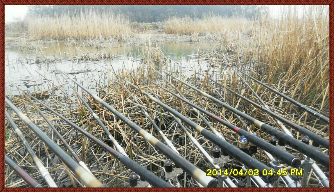 SDC14122.jpg