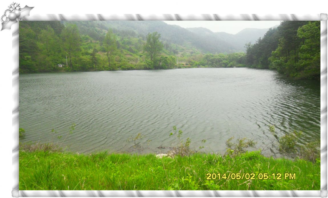 SDC14663.jpg