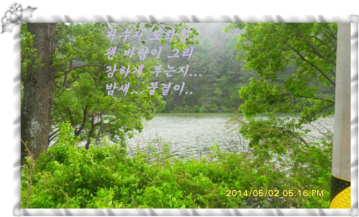 SDC14664.jpg