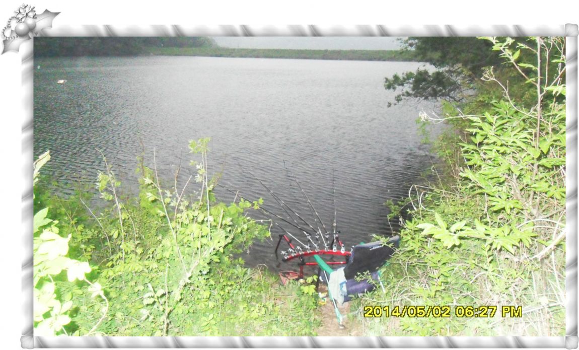 SDC14665.jpg