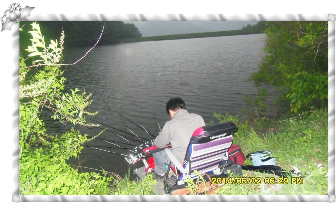 SDC14667.jpg