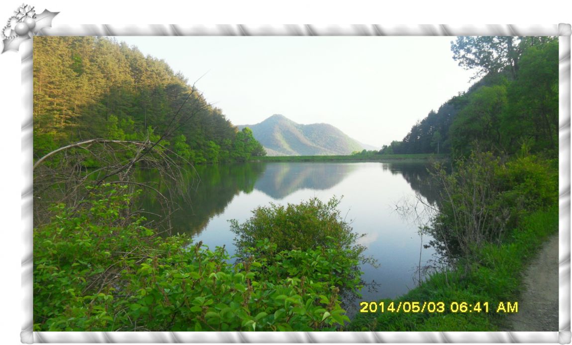 SDC14675.jpg