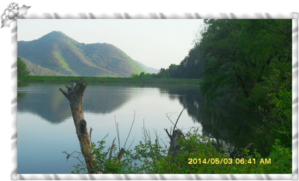 SDC14676.jpg