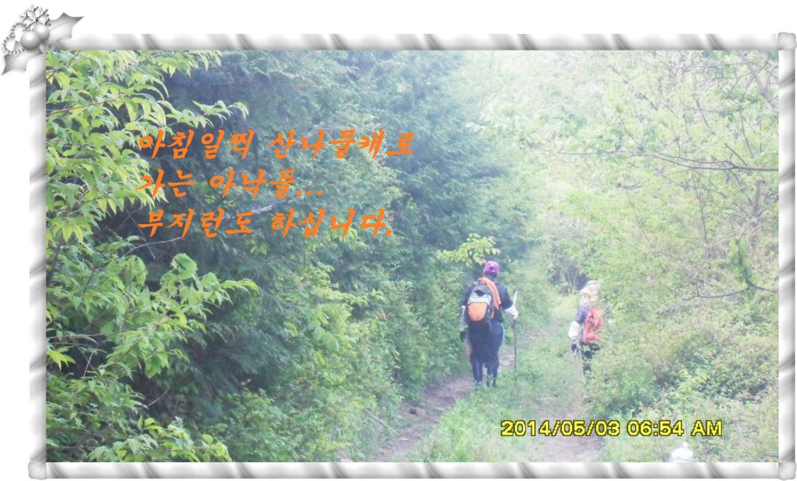 SDC14678.jpg