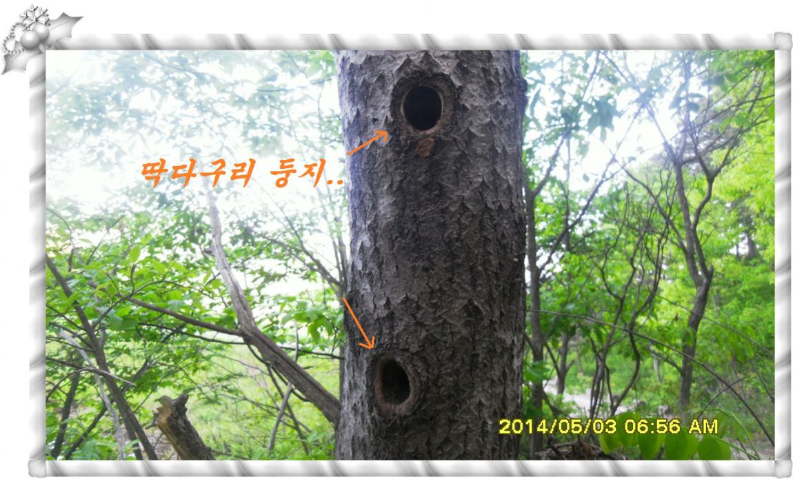 SDC14680.jpg