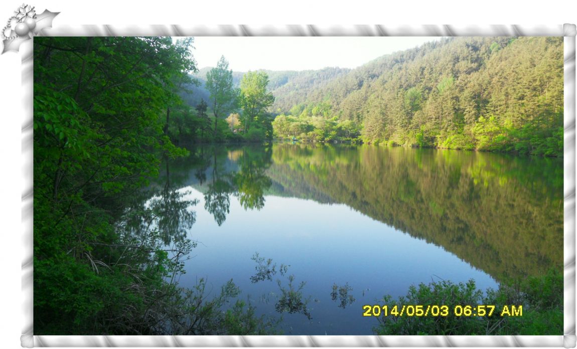 SDC14681.jpg