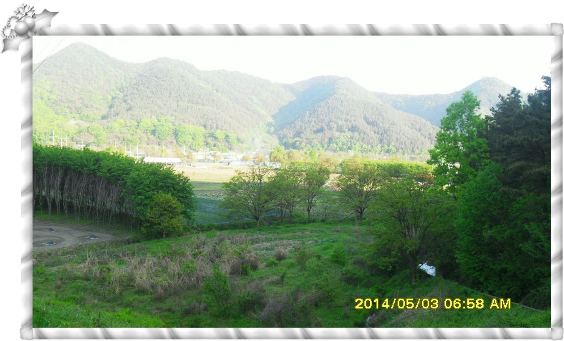 SDC14683.jpg
